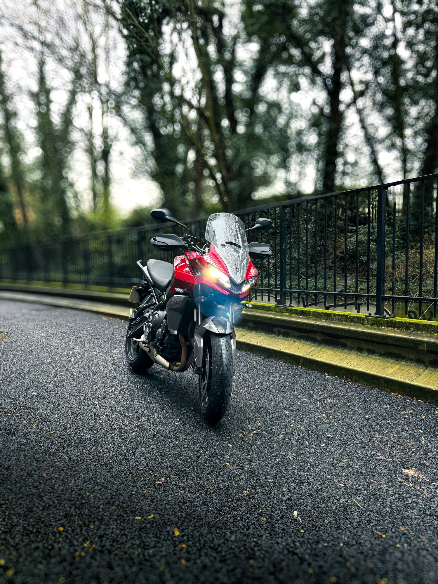 Triumph Tiger Sport 660