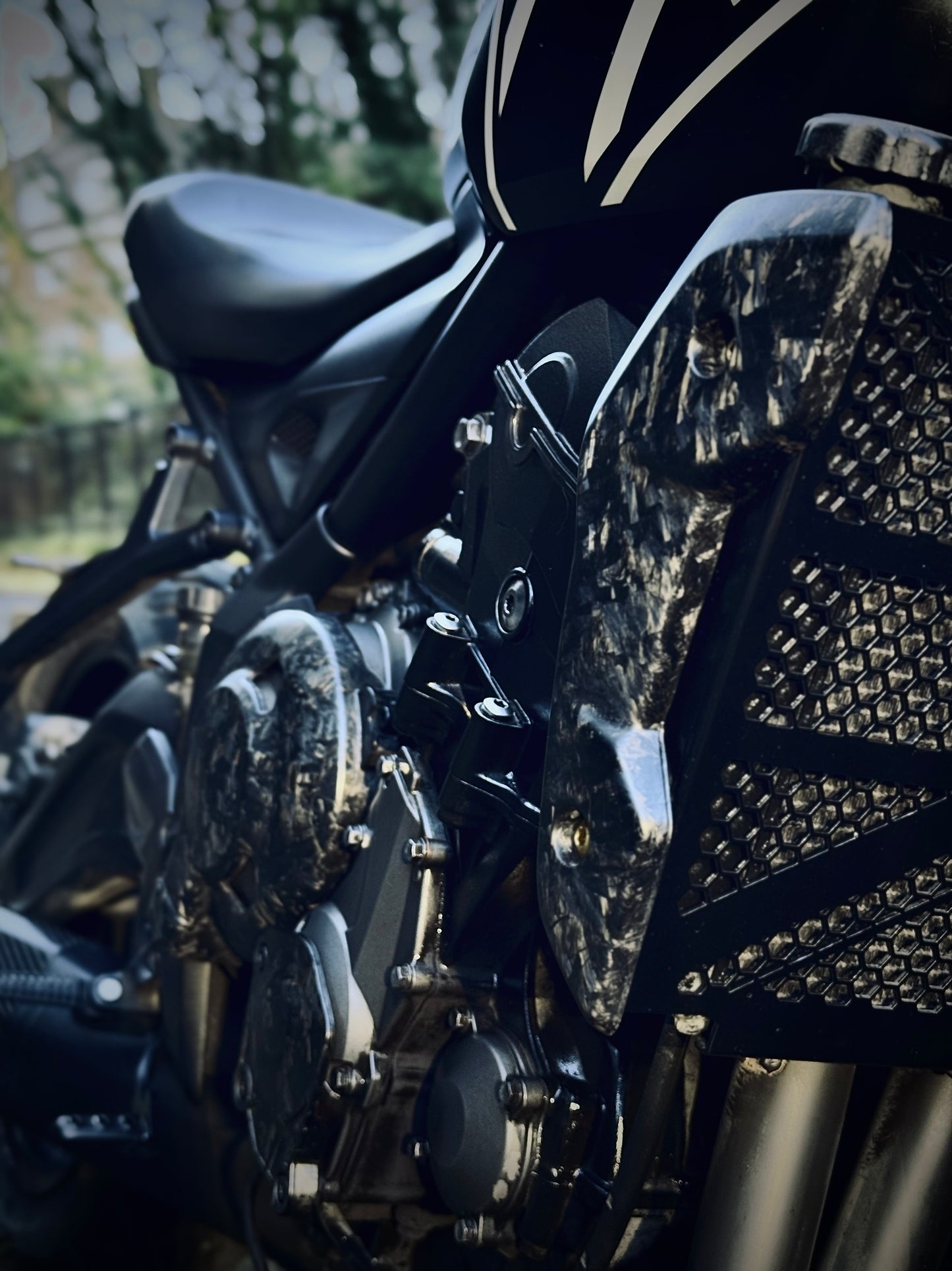 Forged Carbon Fibre Radiator Cowls for Trident 660